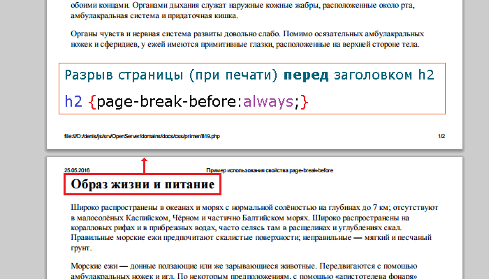 Пример использования свойства page-break-before(определяет наличие или отсутствие разрыва страницы перед заданным элементом при печати документа).